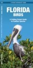 Florida Birds : A Folding Pocket Guide to Familiar Species - Book