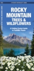 Rocky Mountain Trees & Wildflowers : A Folding Pocket Guide to Familiar Species - Book