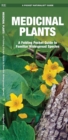 Medicinal Plants : A Folding Pocket Guide to Familiar Widespread Species - Book