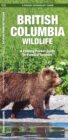 British Columbia Wildlife : A Folding Pocket Guide to Familiar Species - Book