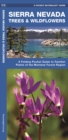 Sierra Nevada Trees & Wildflowers : A Folding Pocket Guide to Familiar Species of the Montane Forest Region - Book
