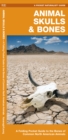 Animal Skulls & Bones : A Folding Pocket Guide to the Bones of Common North American Animals - Book