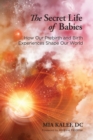 The Secret Life of Babies : How Our Prebirth and Birth Experiences Shape Our World - Book