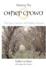 Meeting the Other Crowd : The Fairy Stories of Hidden Ireland - Book