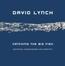 Catching the Big Fish : Meditation, Consciousness and Creativity - Book