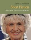 British, Irish & Commonwealth Writers - Book
