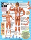 Blueprint for Health Your Muscles Chart - Book
