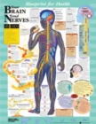 Blueprint for Health Your Brain and Nerves Chart - Book