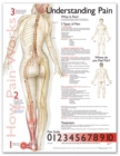 Understanding Pain Anatomical Chart - Book