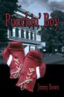 Punchin' Boy - Book