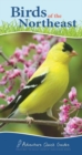 Birds of the Northeast : Your Way to Easily Identify Backyard Birds - Book