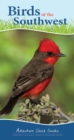 Birds of the Southwest : Your Way to Easily Identify Backyard Birds - Book