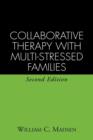 Collaborative Therapy with Multi-stressed Families - Book