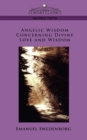Angelic Wisdom Concerning Divine Love and Wisdom - Book