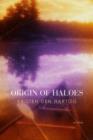 Origin of Haloes - eBook