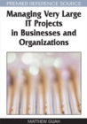 Managing Very Large IT Projects in Businesses and Organizations - eBook