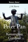 Peter Pan in Kensington Gardens - Book