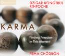 Karma : Finding Freedom in This Moment - Book