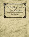 The Bobbsey Twins at the Seashore - Book