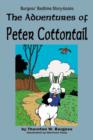 The Adventures of Peter Cottontail - Book