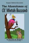 The Adventures of Ol' Mistah Buzzard - Book