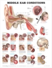 Middle Ear Conditions Anatomical Chart - Book