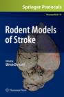 Rodent Models of Stroke - Book