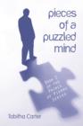 Pieces of a Puzzled Mind : Book 2 of the Prince of Pierre Series - Book