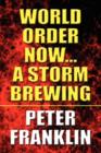 World Order Now...a Storm Brewing - Book