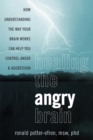 Healing the Angry Brain - eBook