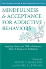 Mindfulness and Acceptance for Addictive Behaviors : Applying Contextual CBT to Substance Abuse and Behavioral Addictions - Book