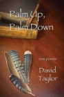 Palm Up, Palm Down - Book