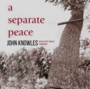 A Separate Peace - eAudiobook