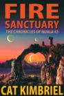Fire Sanctuary - eBook