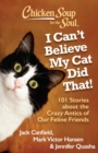 Chicken Soup for the Soul: I Can't Believe My Cat Did That! : 101 Stories about the Crazy Antics of Our Feline Friends - eBook