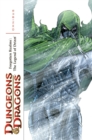 Dungeons & Dragons: Forgotten Realms - The Legend of Drizzt Omnibus Volume 2 - Book