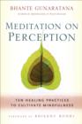 Meditation on Perception : Ten Healing Practices to Cultivate Mindfulness - eBook