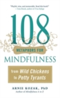 108 Metaphors for Mindfulness : From Wild Chickens to Petty Tyrants - Book