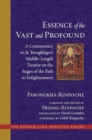 The Essence of the Vast and Profound : A Commentary on Je Tsongkhapa's Middle-Length Treatise on the Stages of the Path to Enlightenment - Book