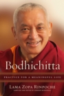 Bodhichitta : Practice for a Meaningful Life - eBook