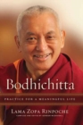 Bodhichitta : Practice for a Meaningful Life - Book