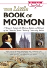 Little Book of Mormon - eBook