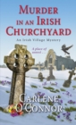 Murder In An Irish Churchyard - Book