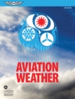 Aviation Weather (2023) - eBook
