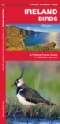 Ireland Birds : A Folding Pocket Guide to Familiar Species - Book