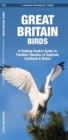 Great Britain Birds : A Folding Pocket Guide to Familiar Species of England, Scotland & Wales - Book