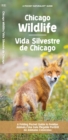 Chicago Wildlife/Fauna de Chicago : A Folding Pocket Guide to Familiar Animals/Una Guia Plegable Portatil de Animales Conocidas - Book