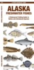 Alaska Freshwater Fishes : A Waterproof Folding Guide to Native and Introduced Species - Book