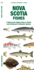 Nova Scotia Fishes : A Waterproof Folding Guide to Native and Introduced Freshwater Species - Book