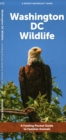 Washington DC Wildlife : A Folding Pocket Guide to Familiar Animals - Book